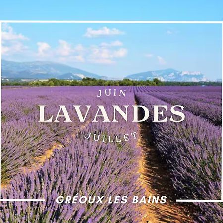 Oasis Tranquille - L'Evasion Au Verdon Gréoux-les-Bains Екстериор снимка