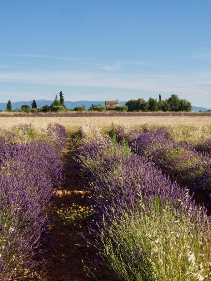 Oasis Tranquille - L'Evasion Au Verdon Gréoux-les-Bains Екстериор снимка